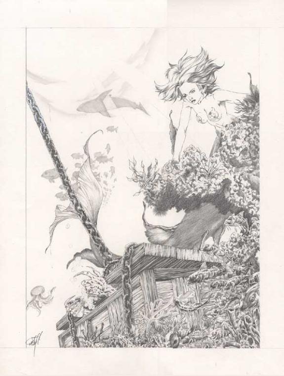 sirène  (dessin de com - Djillali Defali - Mine de plomb sur papier - 170