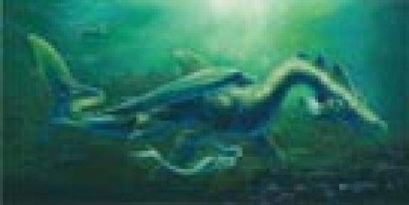 Les dragons : petit traité de sciences naturelles