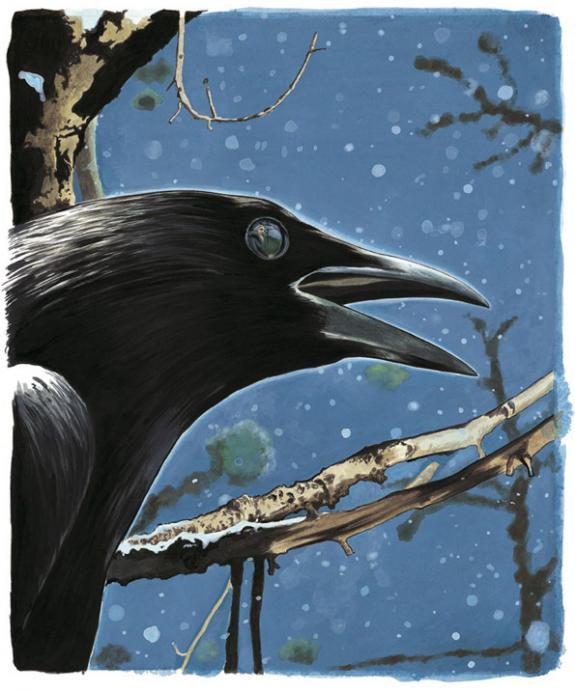 corneille merlin dans son oeil - Bruno Brucero - Acrylique - 1572