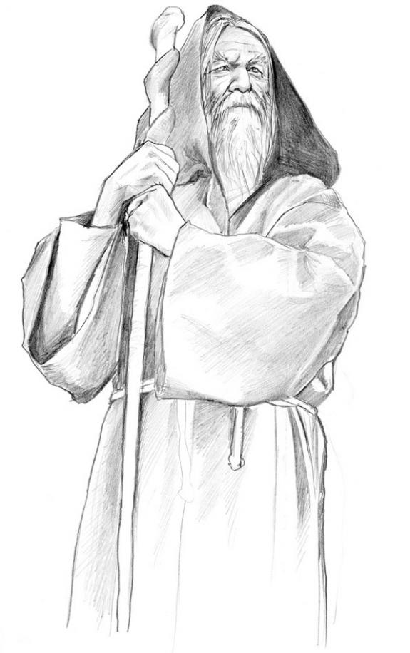 merlinencapuchonné regard lointain - Bruno Brucero - Mine de plomb sur papier - 1597