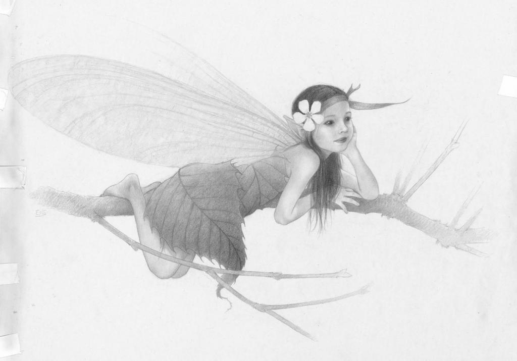 Fée sur la branche - Erlé Ferronnière - Mine de plomb sur papier - 2035