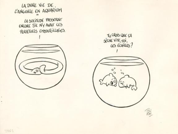 Anguille - Nicolas Poupon - Encre de Chine, encre de couleur et crayon - 2181