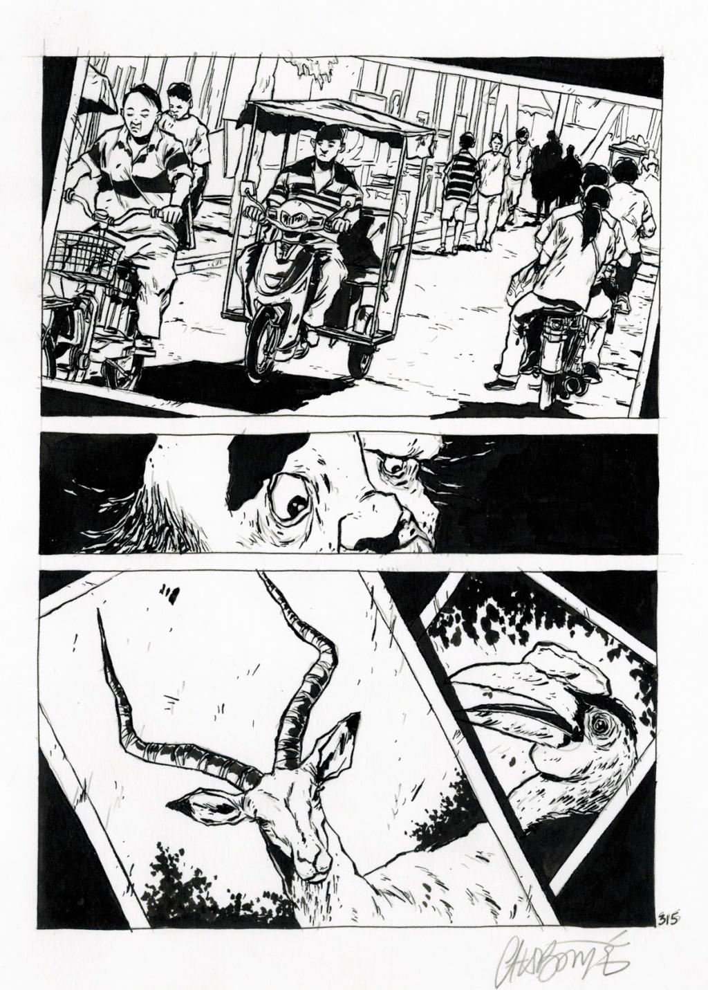 planche 315 - Christophe Chabouté - Encre de Chine - 2524