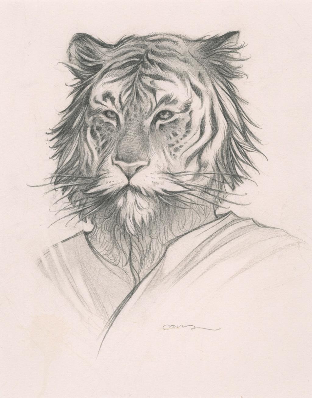 Tigre - Cory Godbey - Mine de plomb sur papier - 2584