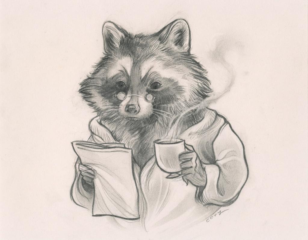 Raton Laveur - Cory Godbey - Mine de plomb sur papier - 2587