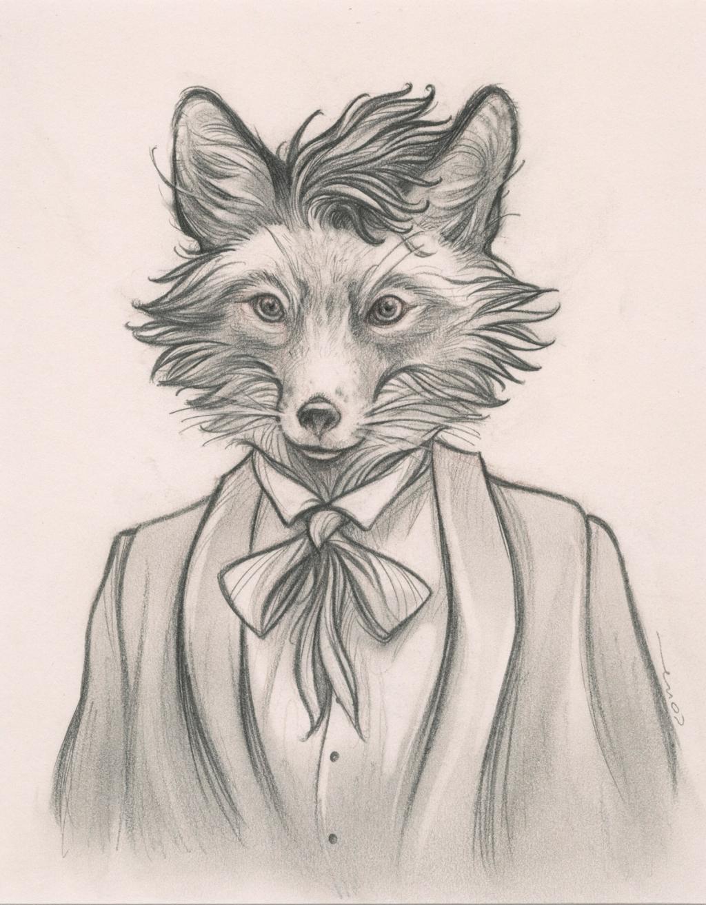 Renard - Cory Godbey - Mine de plomb sur papier - 2588