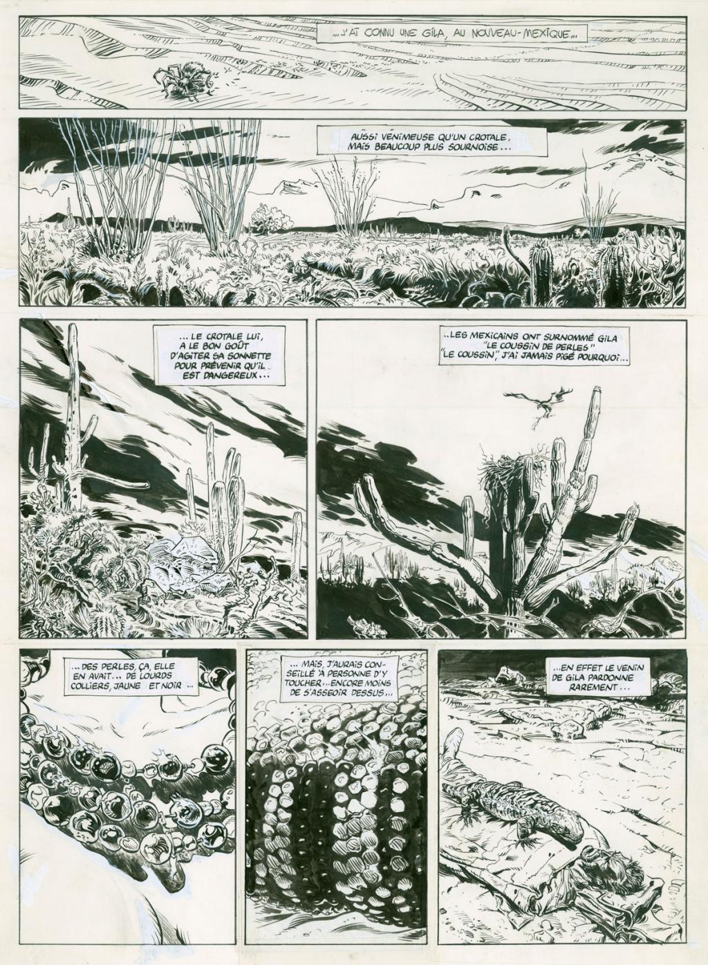 Planche originale - Fabrice Lamy - Encre de Chine sur papier - 2701