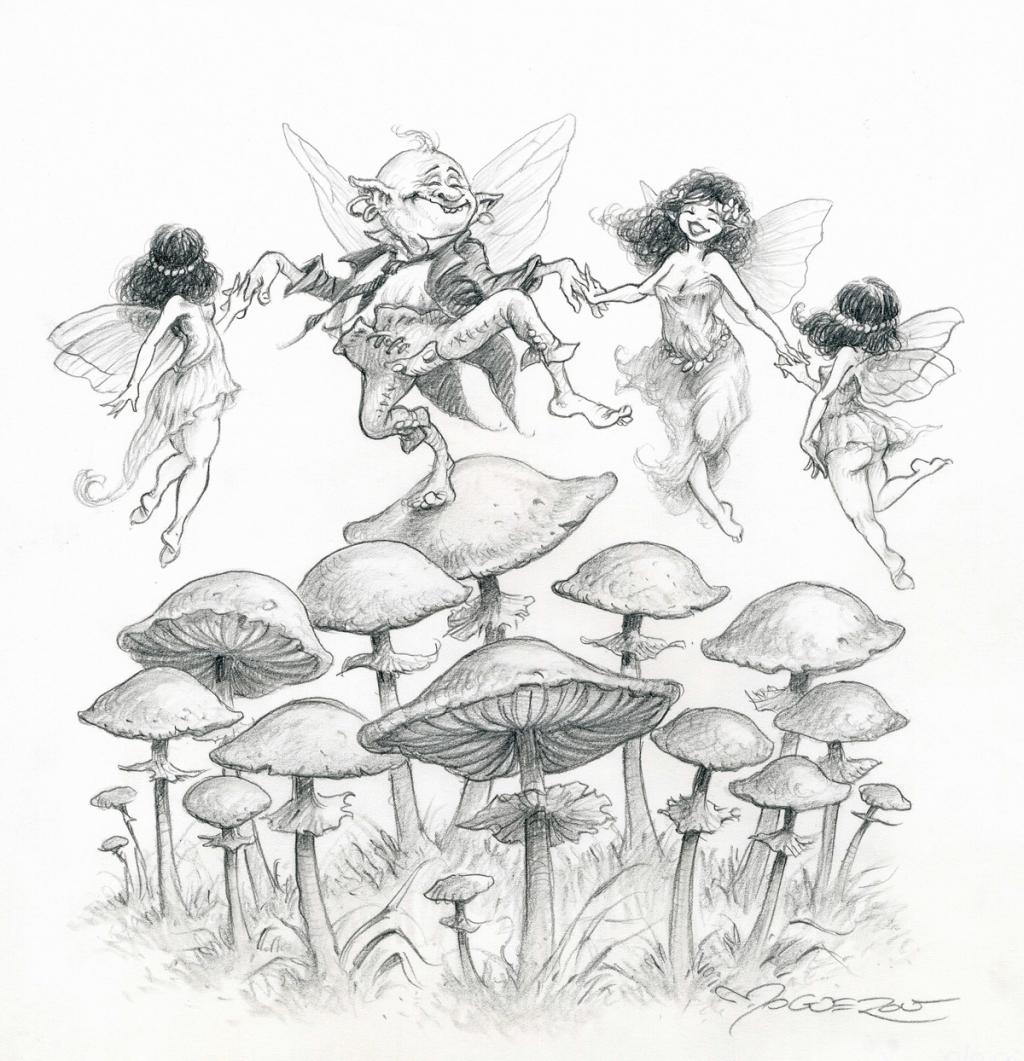 Illustration originale - Rond de fée - Pascal Moguérou - Mine de plomb sur papier - 2818