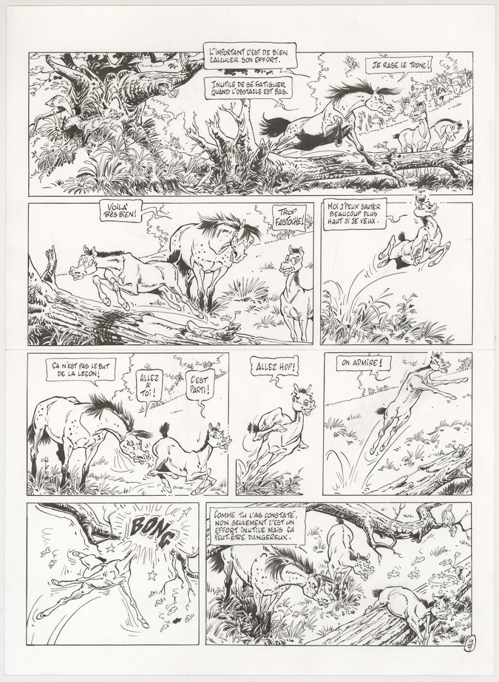 Planche originale - Benoit Du Peloux - Encre de Chine sur papier - 3035