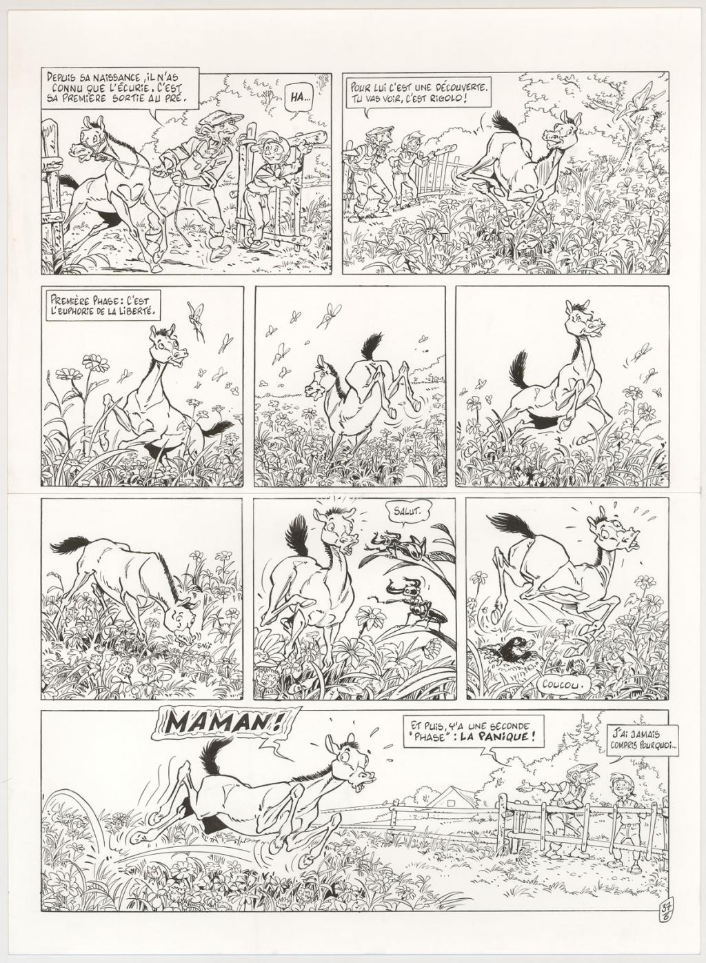 Planche originale - Benoit Du Peloux - Encre de Chine sur papier - 3038