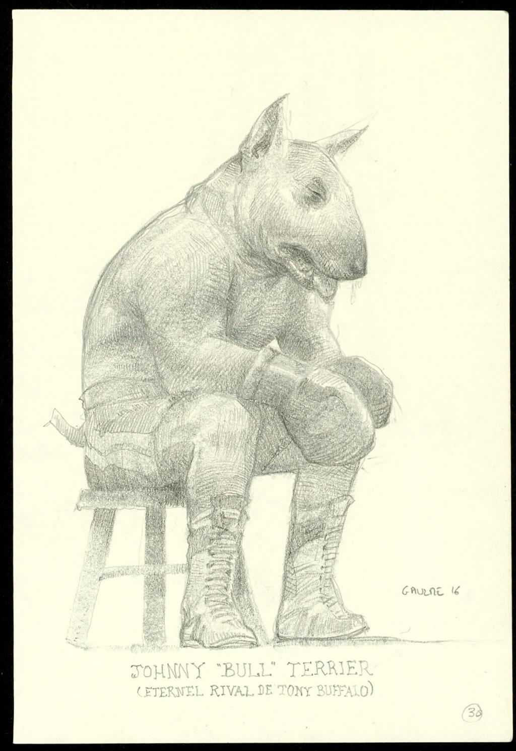 Crayonné original : Johny Bull Terrier - Armel Gaulme - Mine de plomb sur papier - 3942