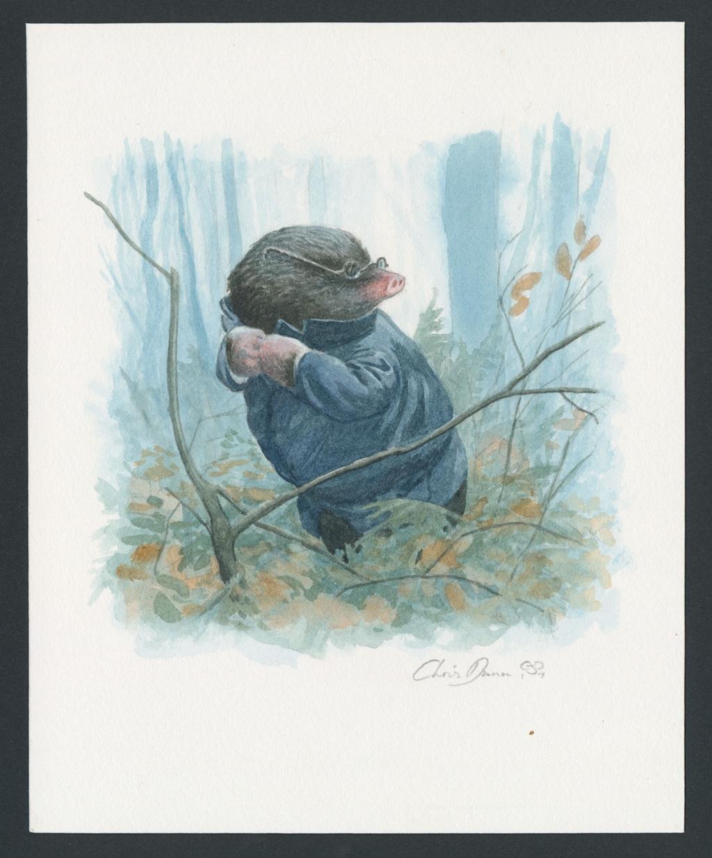 Illustration originale intitulée "Mole in the Wild Wood" (Taupe dans le bois sauvage) - Christopher Dunn - Aquarelle sur papier - 5491