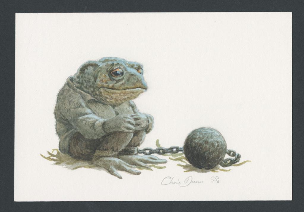 Illustration originale intitulée "Toad imprisoned" (Crapaud emprisonné) - Christopher Dunn - Aquarelle sur papier - 5493