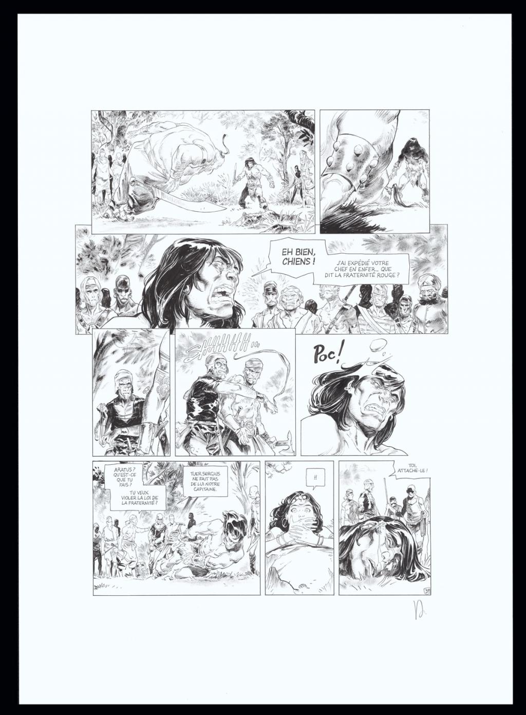 Planche originale n°39 - Virginie Augustin - Encre de Chine sur papier - 4642