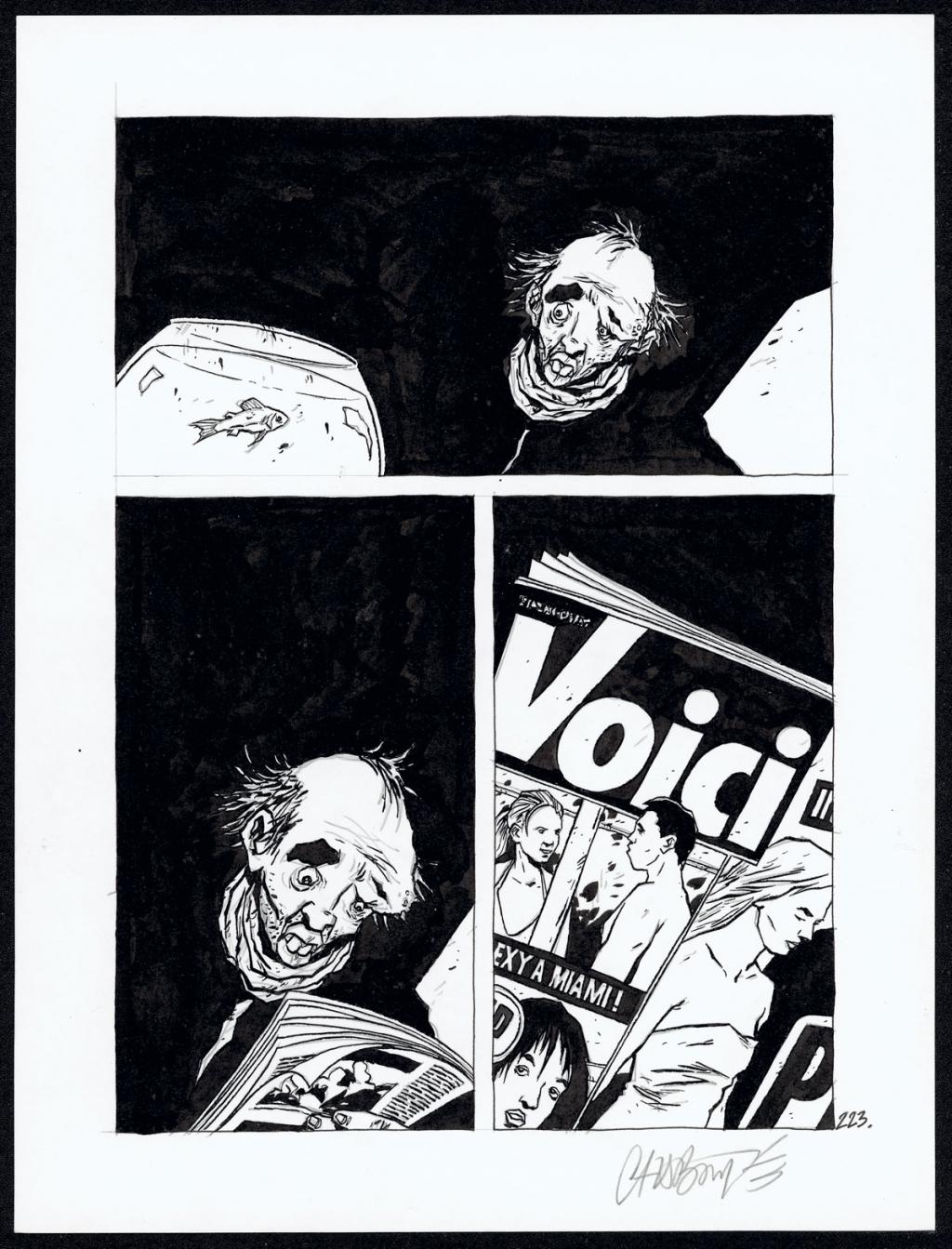 Planche originale 223 - Christophe Chabouté - Encre de Chine - 4977