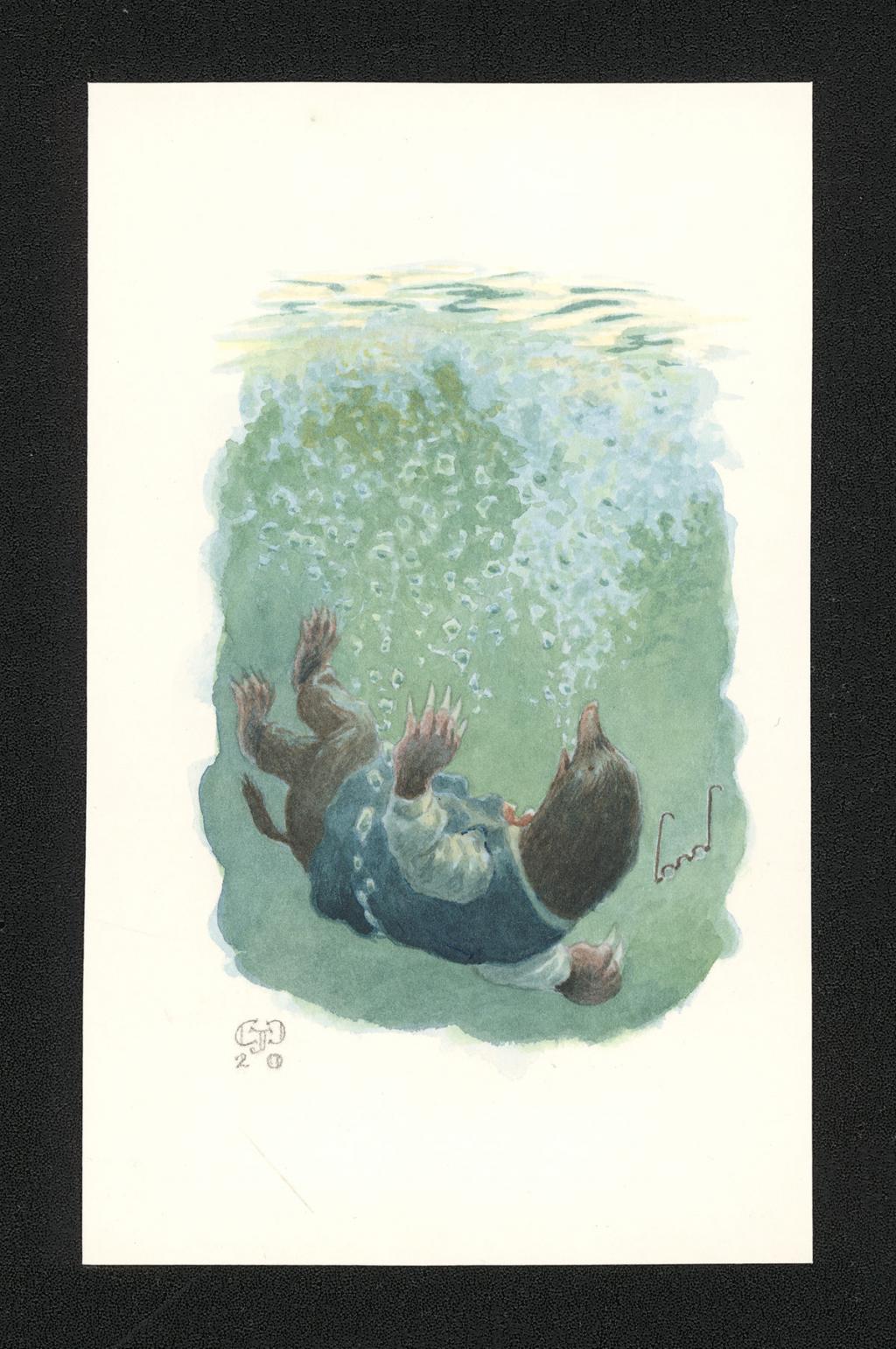 Illustration originale intitulée "Mole underwater" (Taupe sous l'eau) - Christopher Dunn - Aquarelle sur papier - 5503