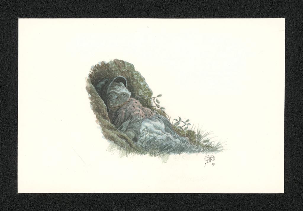 Illustration originale intitulée "Toad sleeping" (Crapaud endormi) - Christopher Dunn - Aquarelle sur papier - 5504
