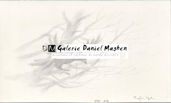 corbeau p33 - Armel Gaulme - Mine de plomb sur papier - 1645