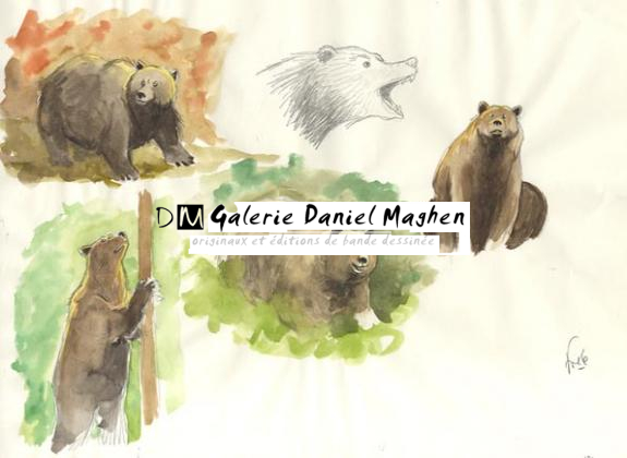 croquis d'ours - Fred Simon - 340