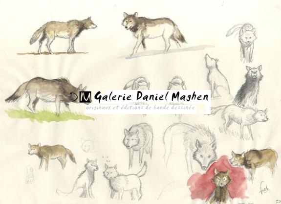 croquis de loup - Fred Simon - 341
