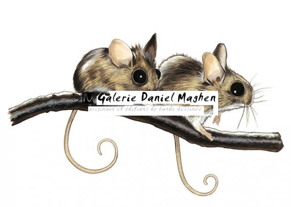 2 gerbilles sur branche - Bruno Brucero - Acrylique - 1579