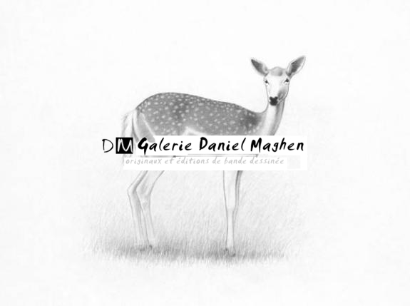 Biche - Erlé Ferronnière - Mine de plomb sur papier - 2029