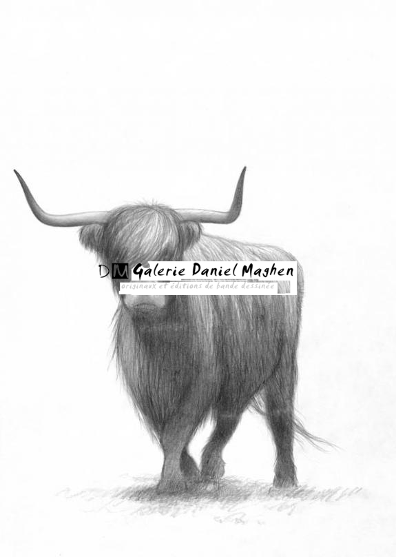 Buffle - Erlé Ferronnière - Mine de plomb sur papier - 2030