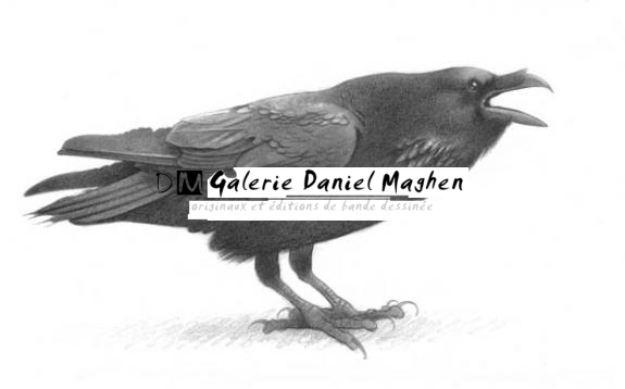 Corbeau - Erlé Ferronnière - Mine de plomb sur papier - 2042