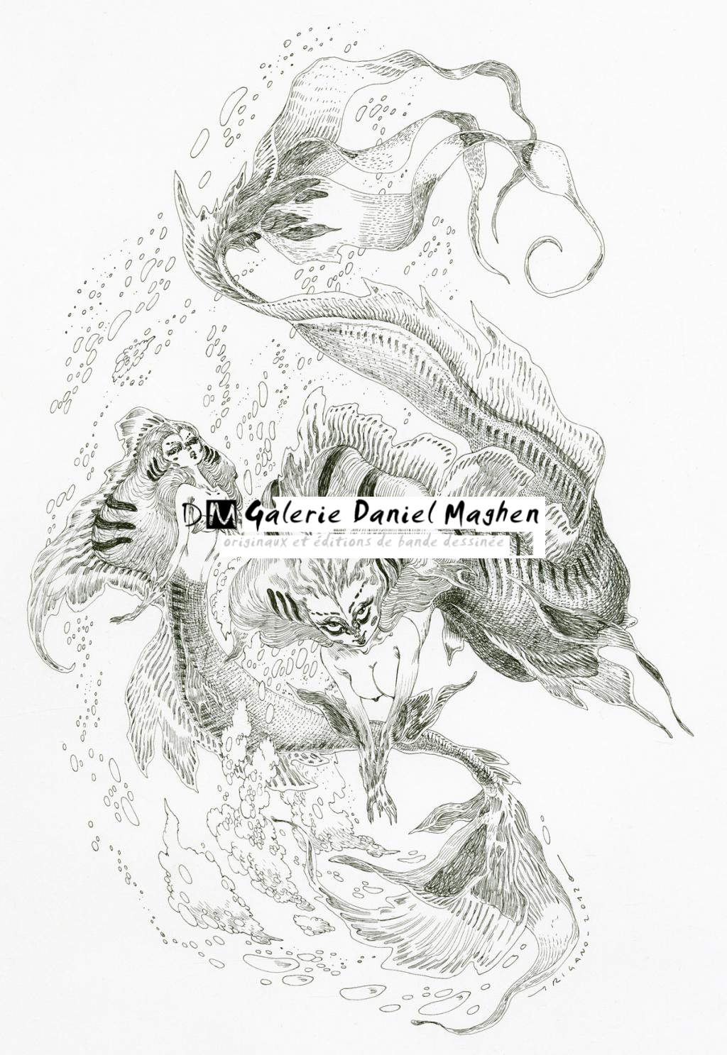 Illustration originale - Sirena - Giovanni Rigano - Encre de Chine - 2424