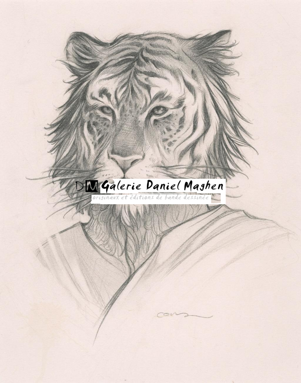 Tigre - Cory Godbey - Mine de plomb sur papier - 2584