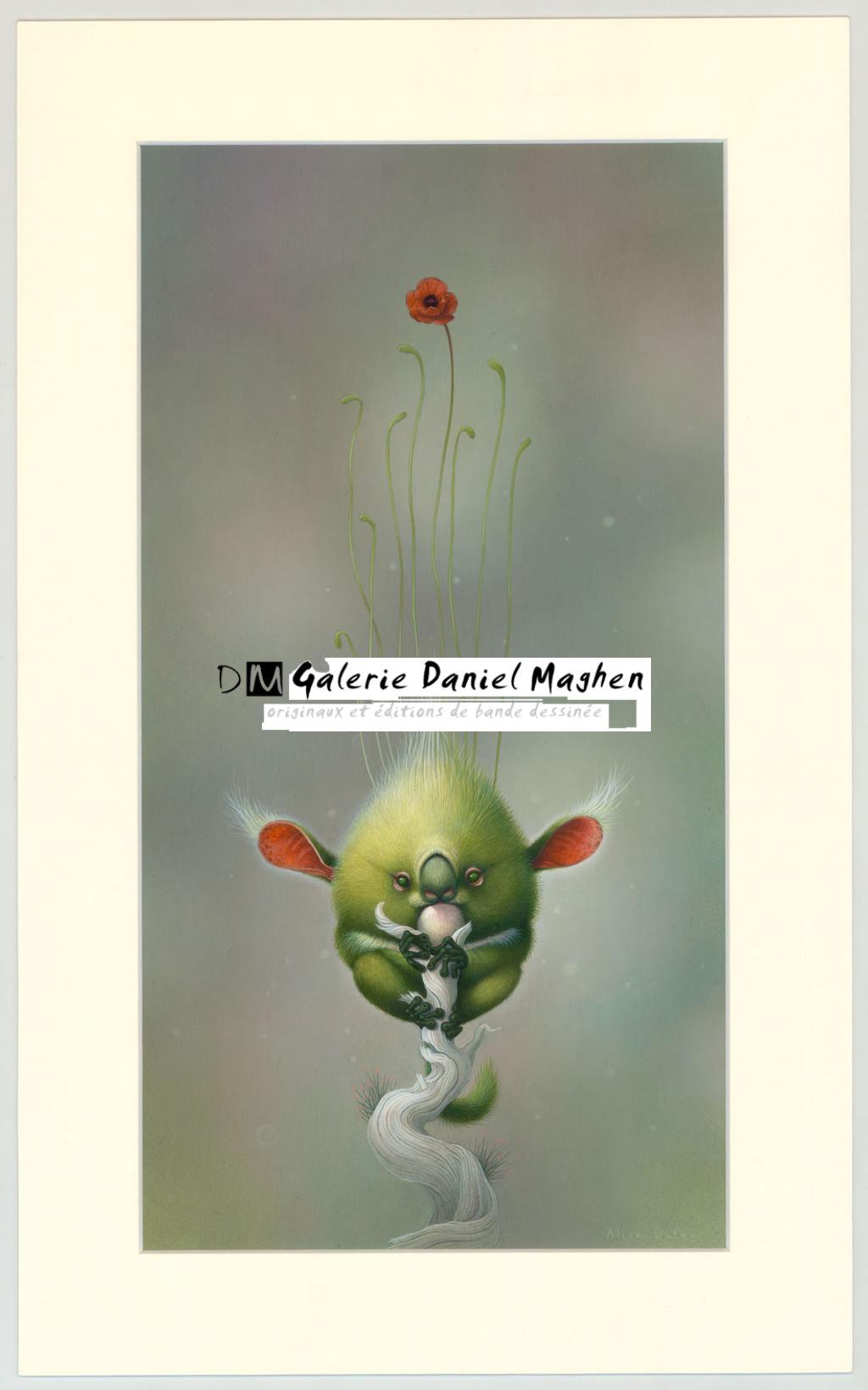 Illustration originale - Hyla Canopea - Alice Dufeu - Acrylique sur papier - 3231