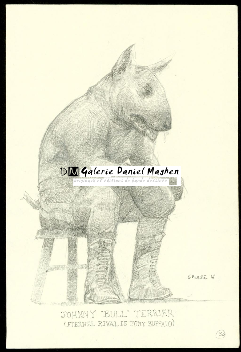 Crayonné original : Johny Bull Terrier - Armel Gaulme - Mine de plomb sur papier - 3942