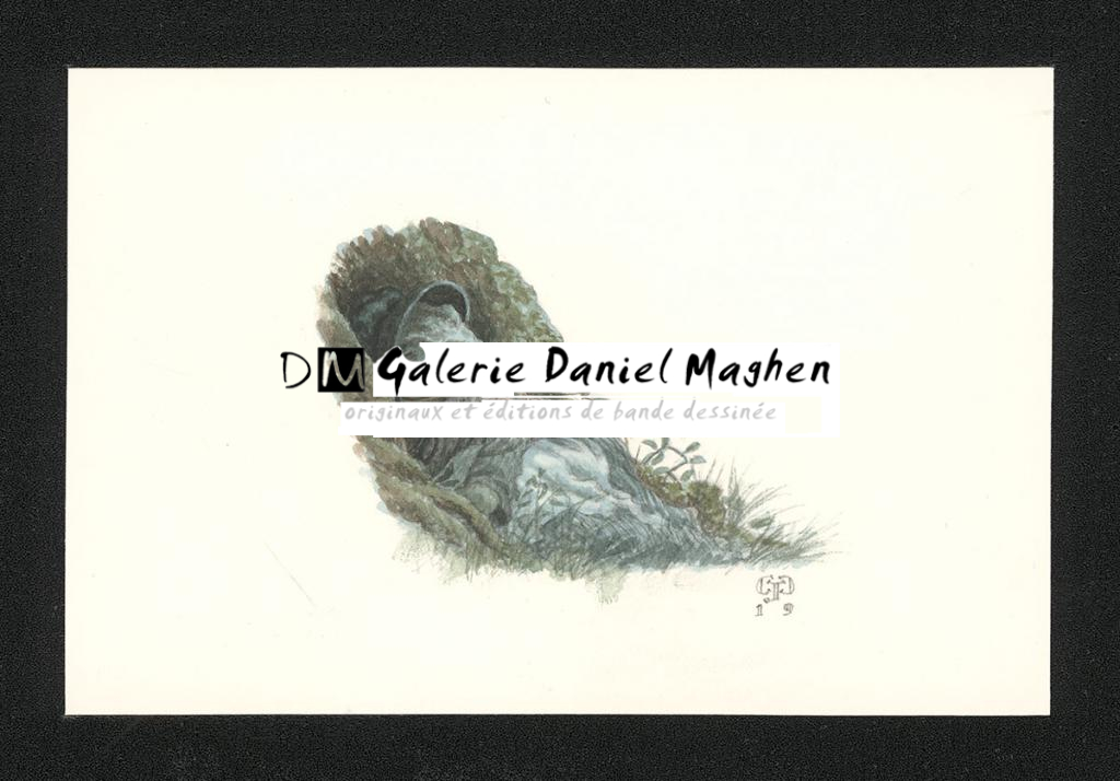 Illustration originale intitulée "Toad sleeping" (Crapaud endormi) - Christopher Dunn - Aquarelle sur papier - 5504