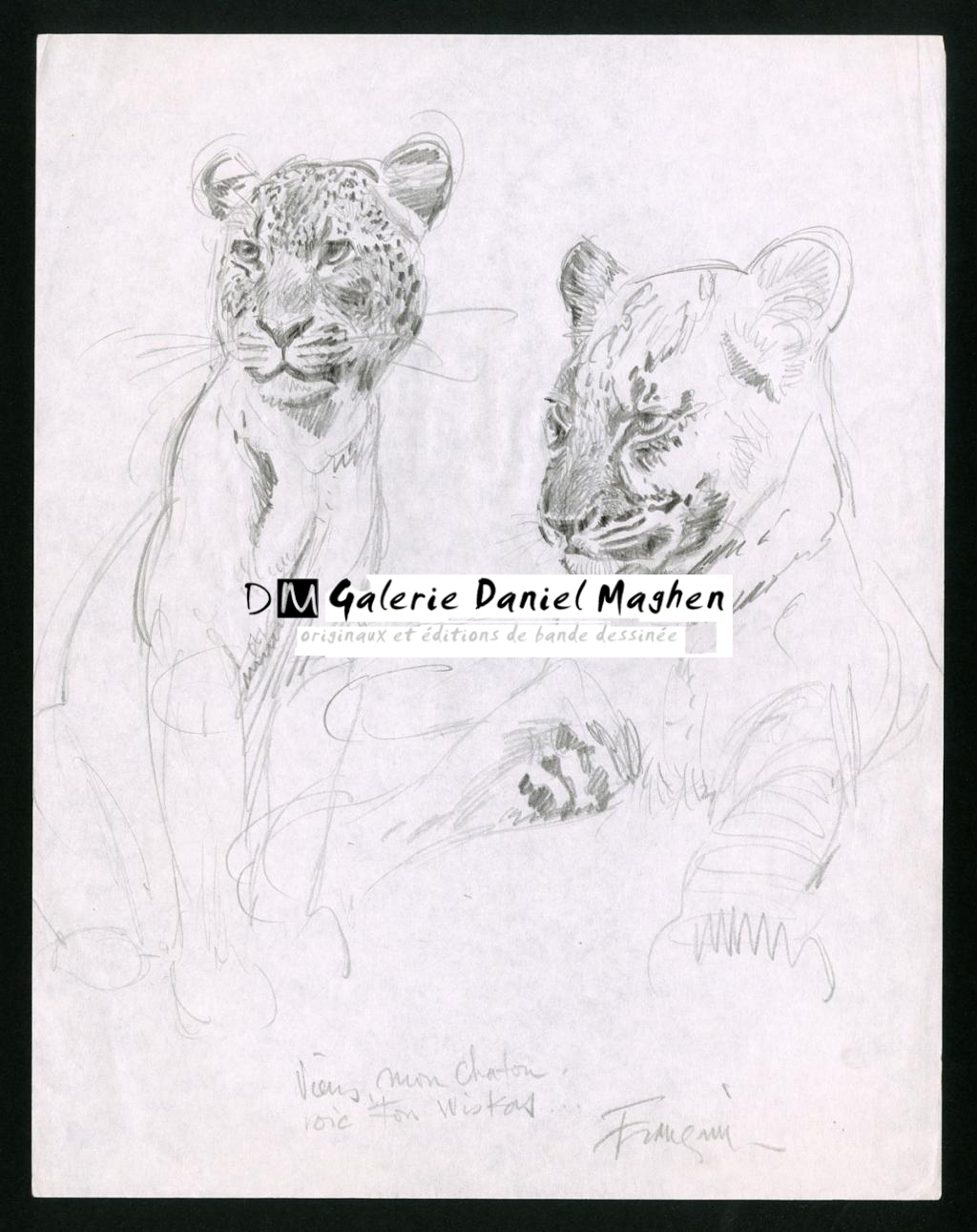 Dessin original inédit, étude de panthère - André Franquin - Mine de plomb sur papier - 6606